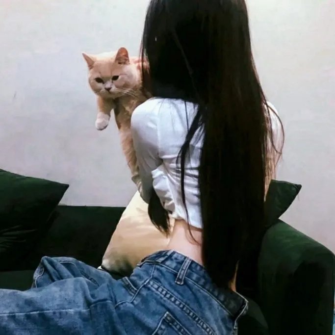 万能强人