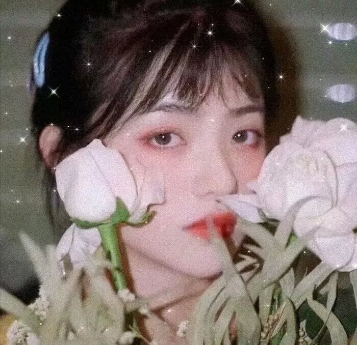 自然界的媒人